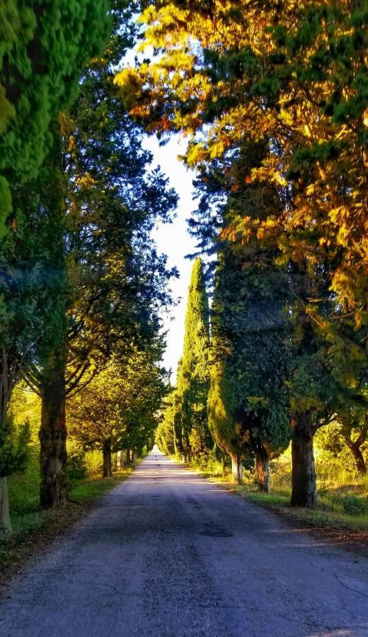 Agriturismo Annibale Tuoro sul Trasimeno Exterior foto