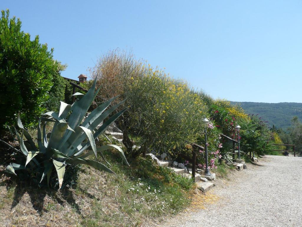 Agriturismo Annibale Tuoro sul Trasimeno Exterior foto